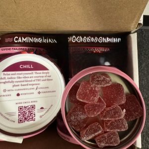camino sours