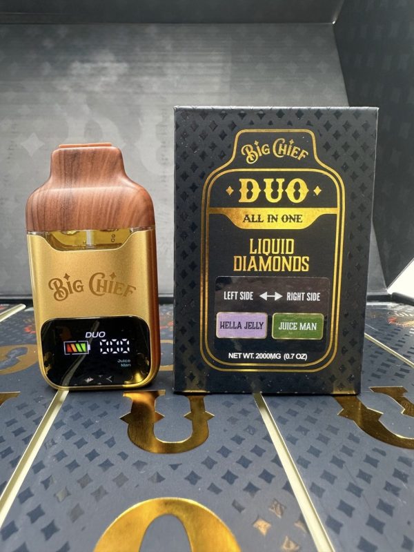 big chief duo 2g disposable