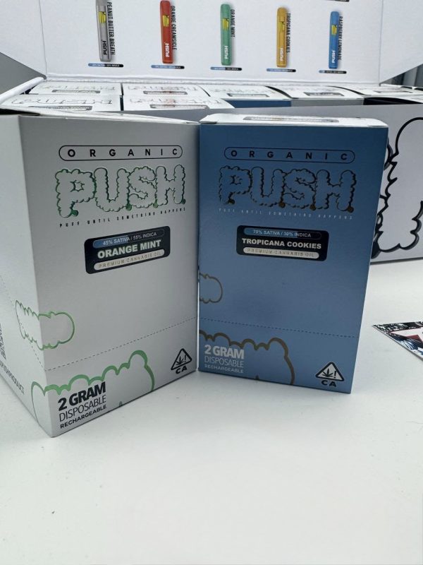 push disposable 2 gram